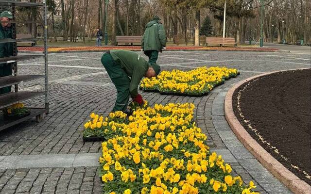 У центрі Харкова почали висаджувати квіти (фото)