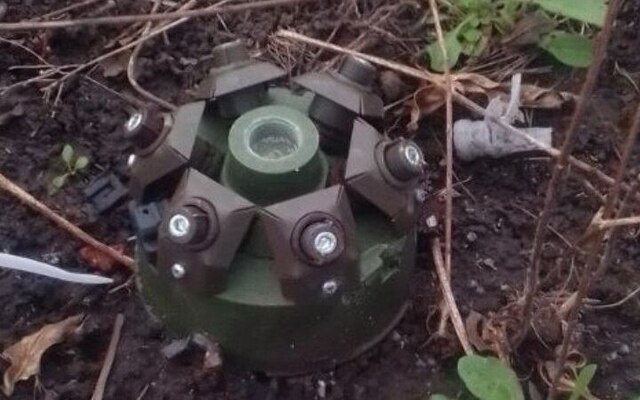 Під Харковом чоловік знайшов на своїй ділянці незвичайну міну (фото)