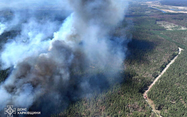 Мужчина, выбросивший окурок, из-за чего сгорело 300 гектаров леса, должен заплатить 30 миллионов гривен