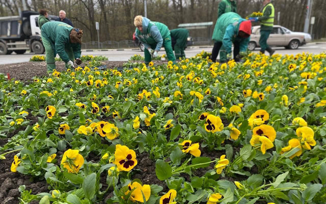 Меморіал Слави прикрасять орнаментом із 22 тисяч віол