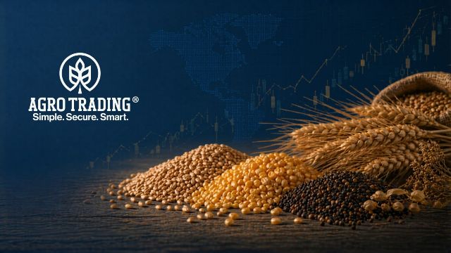 Как зерновая биржа помогает принимать более обоснованные коммерческие решения