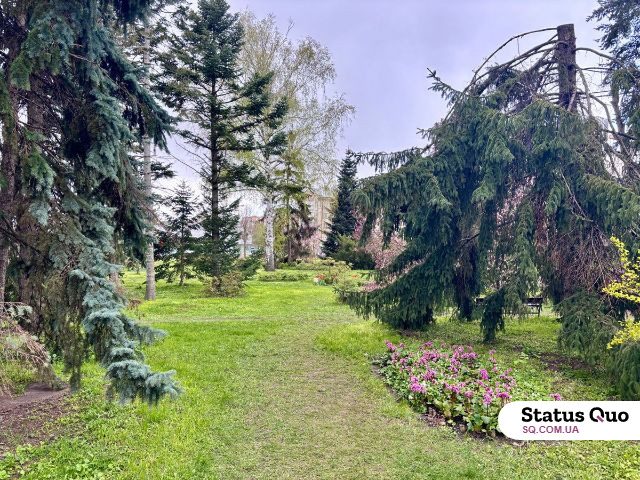 В центре Харькова цветут магнолия, сакура и тюльпаны (фоторепортаж)