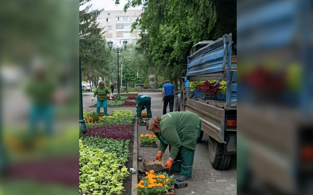 В сквере в Пятихатках высадят более 13 тысяч цветов