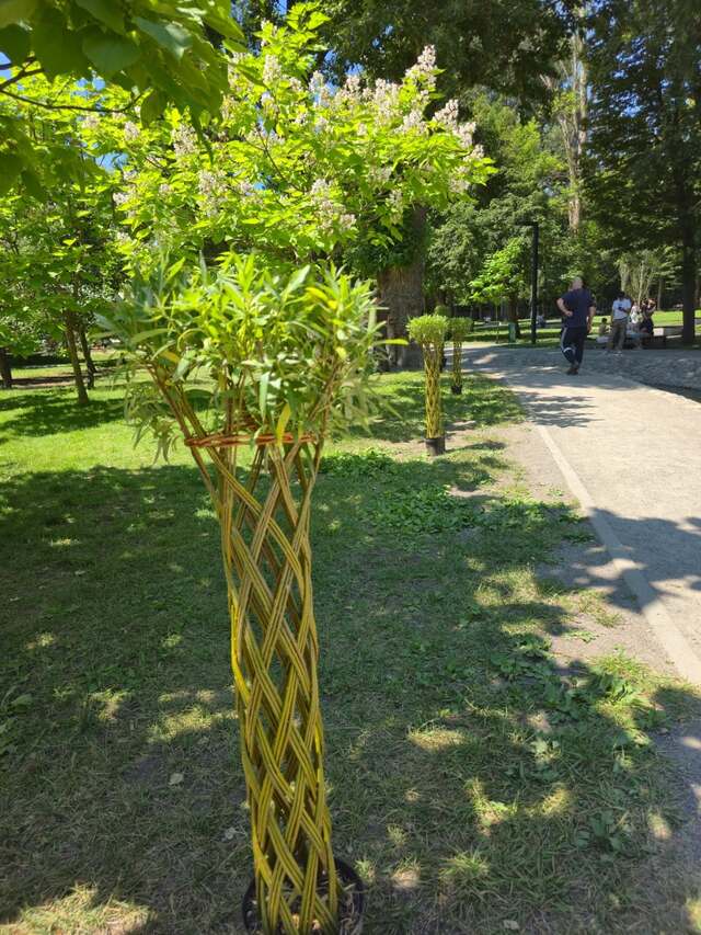 ...