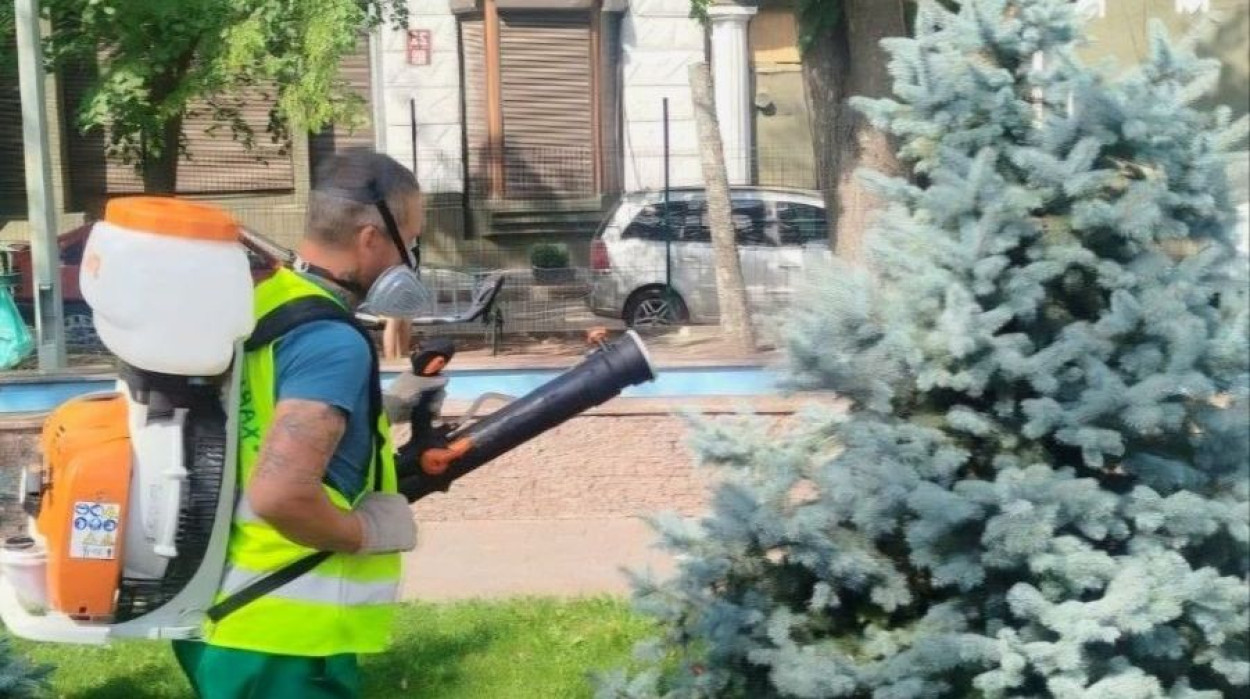 В Харькове опрыскивают деревья (фото)