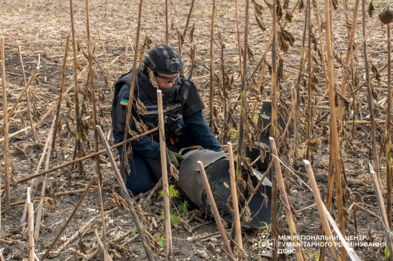 Під час збору врожаю в Харківській області знайшли нерозірвані бойові частини «Гераней»