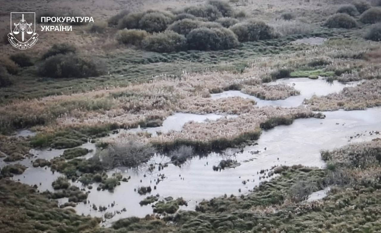 Річка в Харківській області набула білого кольору (фото)