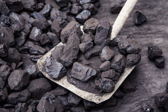 В Близнюках чиновник распродал переданный ему на хранение уголь  