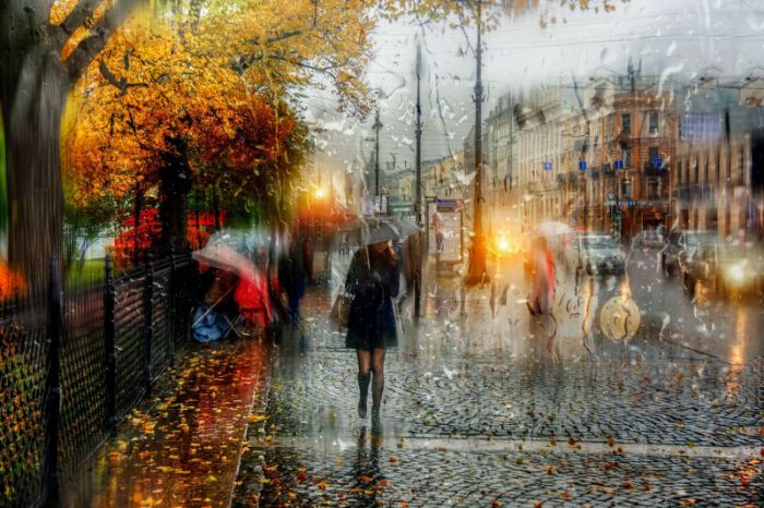 На выходных в Харькове - дождь