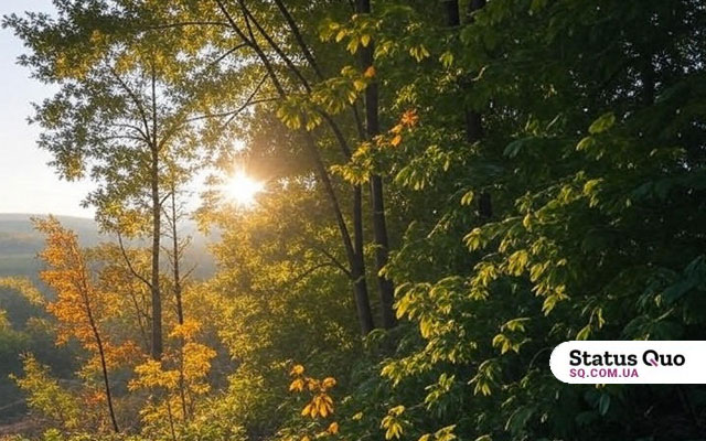 Погода на выходные: без дождей, до +27° в области