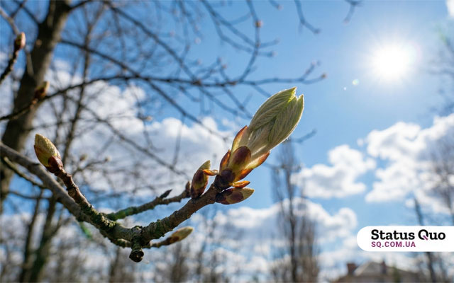 У Харкові поступово потеплішатиме