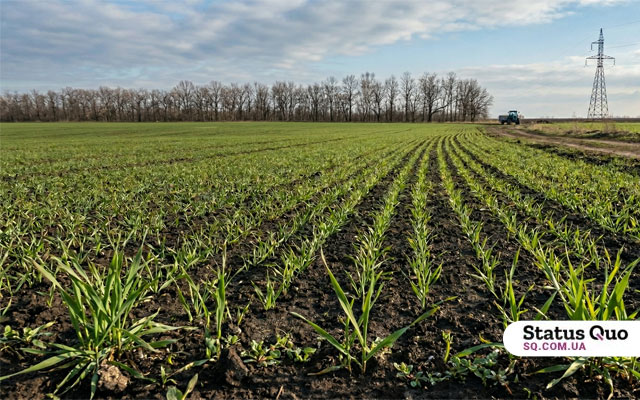 На Харківщині почалося активне зростання озимих