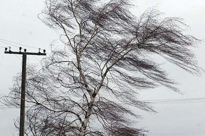 Харьковчан снова предупреждают о сильном ветре