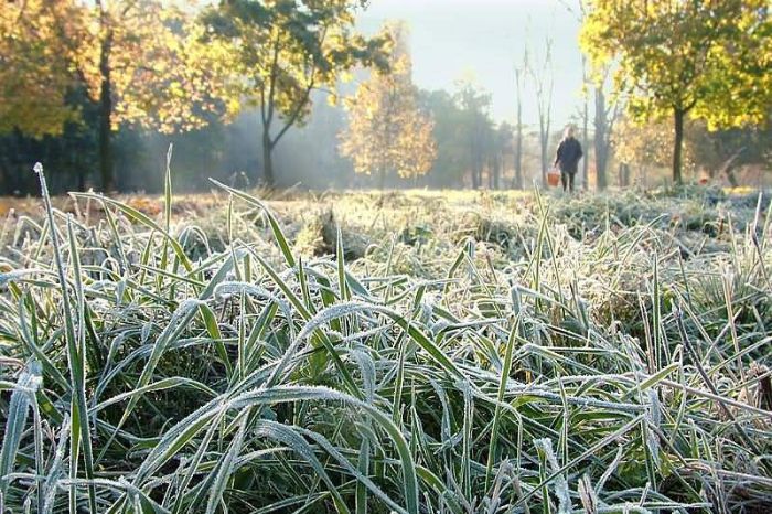 Харьковчан предупреждают о резком похолодании