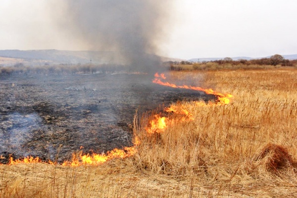 В Харькове горящая трава повредила теплотрассу